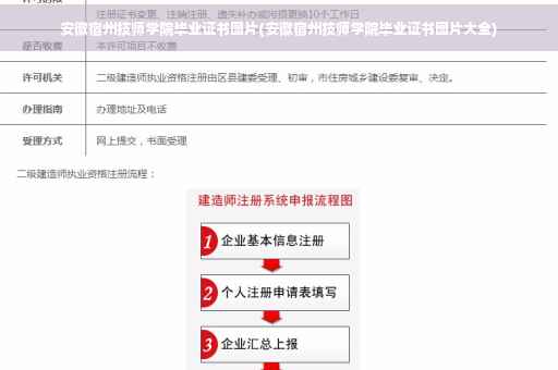 安徽宿州技师学院毕业证书图片(安徽宿州技师学院毕业证书图片大全)