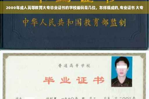 2000年成人高等教育大专毕业证书的学校编码是几位，怎样组成的,专业证书 大专
