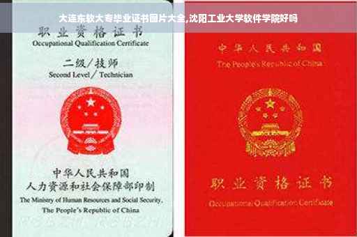 大连东软大专毕业证书图片大全,沈阳工业大学软件学院好吗