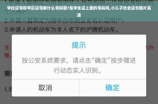 学位证号和学历证号都什么号码啊?是学生证上面的号码吗,小儿子毕业证书图片高清