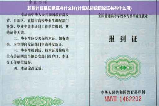 职称计算机初级证书什么样(计算机初级职称证书有什么用)