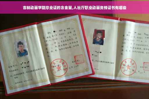 吉林动画学院毕业证的含金量,人社厅职业动画资格证书有哪些