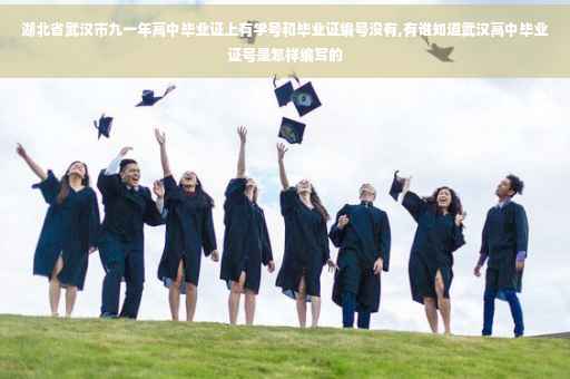 湖北省武汉市九一年高中毕业证上有学号和毕业证编号没有,有谁知道武汉高中毕业证号是怎样编写的