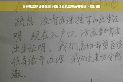计算机三级证书在哪下载(计算机三级证书在哪下载打印)