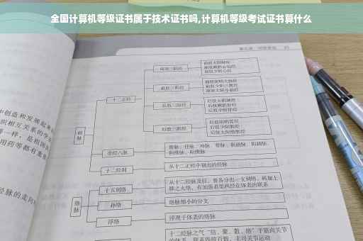 全国计算机等级证书属于技术证书吗,计算机等级考试证书算什么
