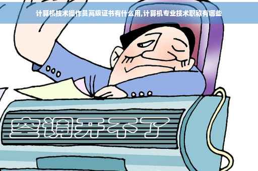 计算机技术操作员高级证书有什么用,计算机专业技术职称有哪些