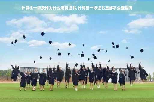 计算机一级及格为什么没有证书,计算机一级证书直邮怎么查物流