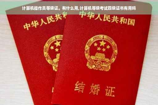 计算机操作员等级证。有什么用,计算机等级考试四级证书有用吗