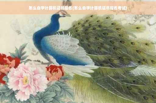 怎么自学计算机证书报名(怎么自学计算机证书报名考试)