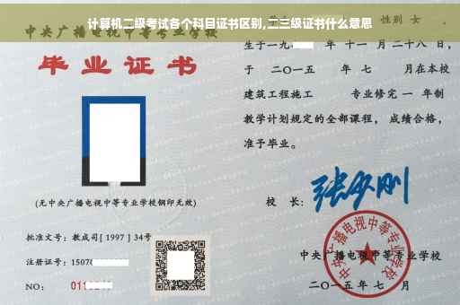 计算机二级考试各个科目证书区别,二三级证书什么意思