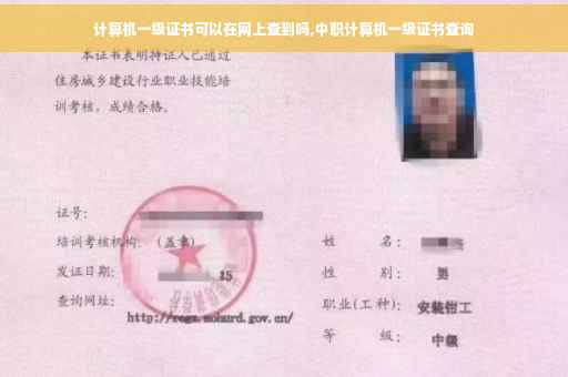 计算机一级证书可以在网上查到吗,中职计算机一级证书查询