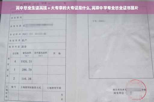 高中毕业生读高技＋大专拿的大专证是什么,高级中学专业毕业证书图片