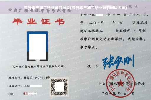 专升本三加二毕业证书图片(专升本三加二毕业证书图片大全)