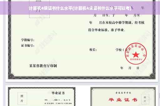 计算机4级证书什么水平(计算机4级证书什么水平可以考)