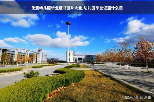 免费幼儿园毕业证书图片大全,幼儿园毕业证盖什么章