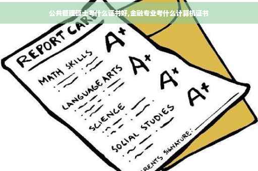 公共管理硕士考什么证书好,金融专业考什么计算机证书