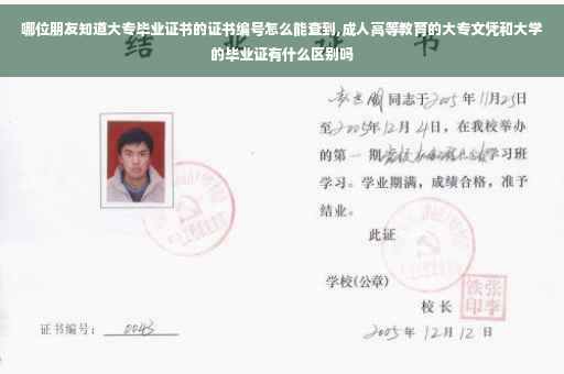 哪位朋友知道大专毕业证书的证书编号怎么能查到,成人高等教育的大专文凭和大学的毕业证有什么区别吗