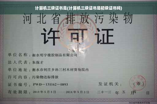 计算机三级证书是(计算机三级证书是初级证书吗)