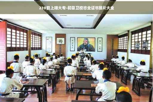 230能上啥大专-和田卫校毕业证书图片大全