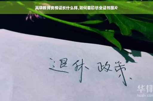 高级教师资格证长什么样,如何套印毕业证书图片