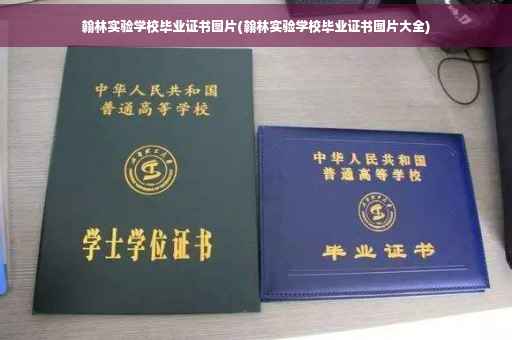 翰林实验学校毕业证书图片(翰林实验学校毕业证书图片大全)