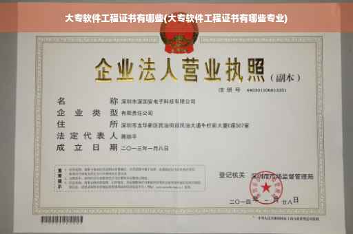 大专软件工程证书有哪些(大专软件工程证书有哪些专业)