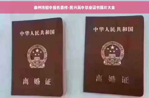 泰州市初中报名条件-民兴高中毕业证书图片大全