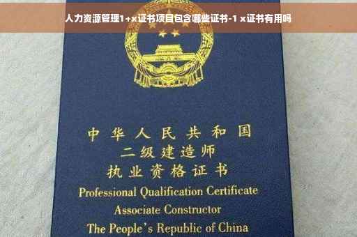 人力资源管理1+x证书项目包含哪些证书-1 x证书有用吗