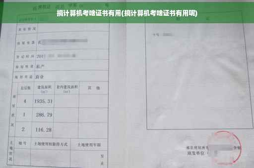 搞计算机考啥证书有用(搞计算机考啥证书有用呢)
