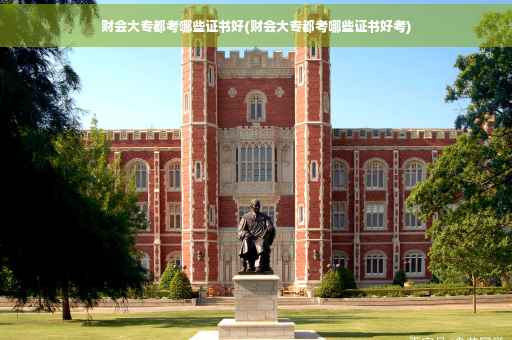 财会大专都考哪些证书好(财会大专都考哪些证书好考)