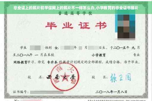 毕业证上的照片和学信网上的照片不一样怎么办,小学教育的毕业证书图片
