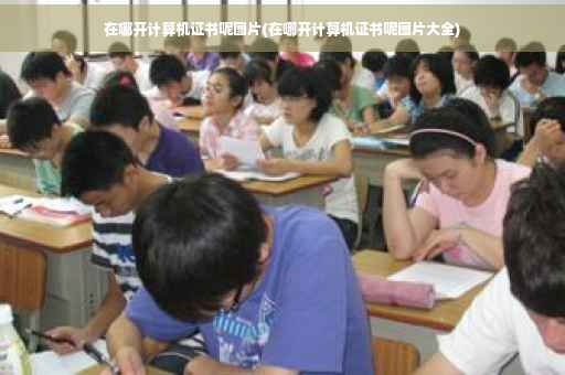 在哪开计算机证书呢图片(在哪开计算机证书呢图片大全)