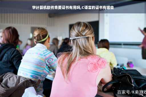 学计算机软件免费证书有用吗,C语言的证书有哪些
