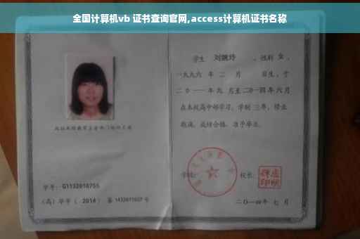 全国计算机vb 证书查询官网,access计算机证书名称