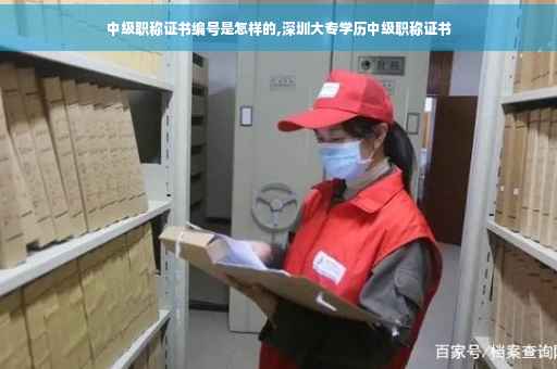 中级职称证书编号是怎样的,深圳大专学历中级职称证书