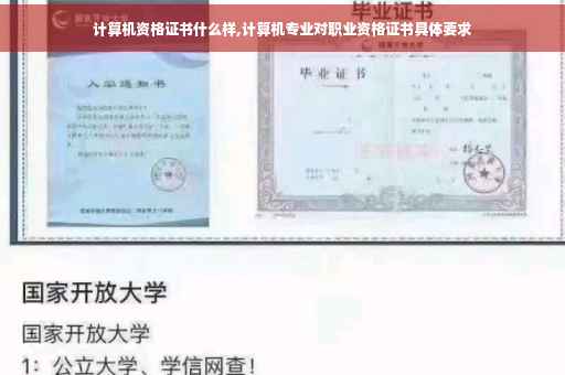 计算机资格证书什么样,计算机专业对职业资格证书具体要求