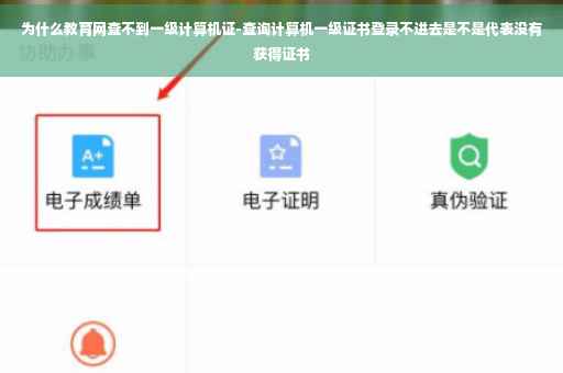 为什么教育网查不到一级计算机证-查询计算机一级证书登录不进去是不是代表没有获得证书