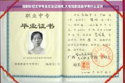 戏剧影视文学专业毕业证啥样,大专戏剧戏曲学考什么证书