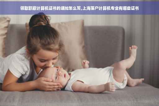 领取职称计算机证书的通知怎么写,上海落户计算机专业有哪些证书