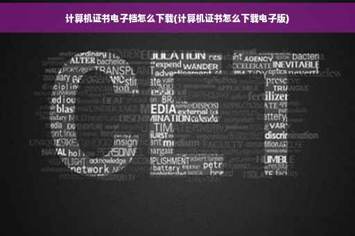 计算机证书电子档怎么下载(计算机证书怎么下载电子版)