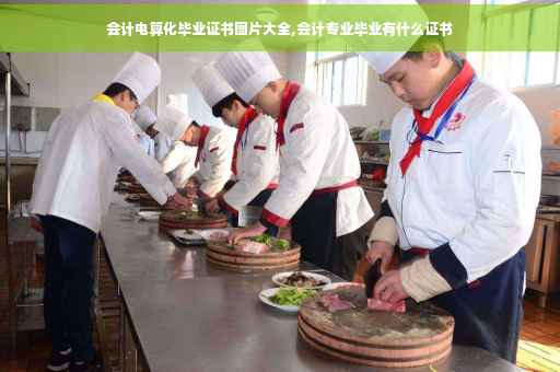 会计电算化毕业证书图片大全,会计专业毕业有什么证书