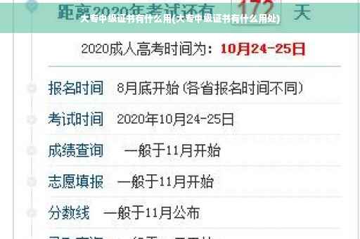 大专中级证书有什么用(大专中级证书有什么用处)