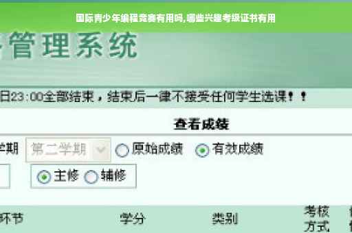 国际青少年编程竞赛有用吗,哪些兴趣考级证书有用