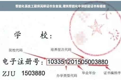 智能化系统工程师高级证书含金量,建筑智能化中级职称证书有哪些