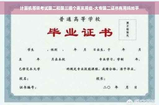 计算机等级考试国二和国三哪个更实用些-大专国二证书有用吗知乎