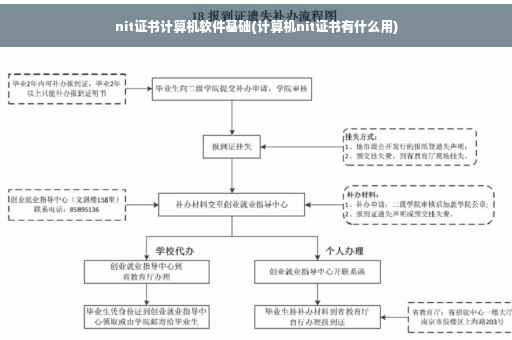 nit证书计算机软件基础(计算机nit证书有什么用)