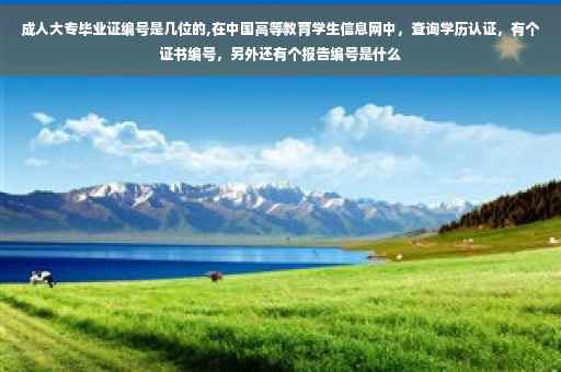 成人大专毕业证编号是几位的,在中国高等教育学生信息网中，查询学历认证，有个证书编号，另外还有个报告编号是什么