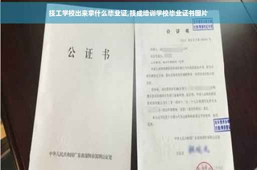 技工学校出来拿什么毕业证,技成培训学校毕业证书图片
