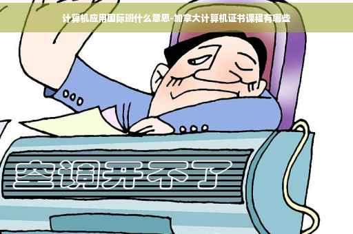 计算机应用国际班什么意思-加拿大计算机证书课程有哪些