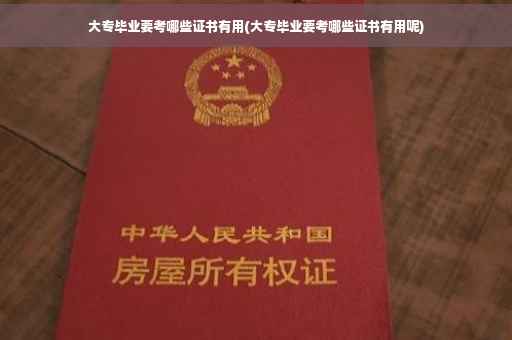 大专毕业要考哪些证书有用(大专毕业要考哪些证书有用呢)